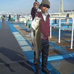 オリジナルメーカー海づり公園(市原市海づり施設) 釣果