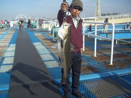 オリジナルメーカー海づり公園(市原市海づり施設) 釣果