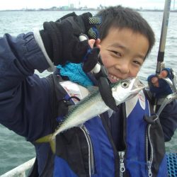 オリジナルメーカー海づり公園(市原市海づり施設) 釣果