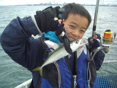 オリジナルメーカー海づり公園(市原市海づり施設) 釣果