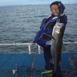 オリジナルメーカー海づり公園(市原市海づり施設) 釣果