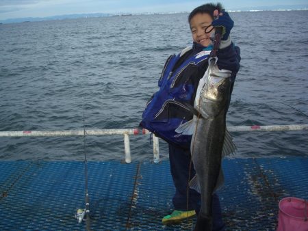 オリジナルメーカー海づり公園(市原市海づり施設) 釣果