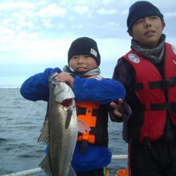 オリジナルメーカー海づり公園(市原市海づり施設) 釣果