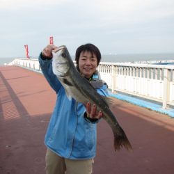 オリジナルメーカー海づり公園(市原市海づり施設) 釣果