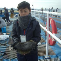 オリジナルメーカー海づり公園(市原市海づり施設) 釣果