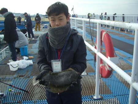 オリジナルメーカー海づり公園(市原市海づり施設) 釣果