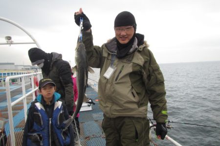 オリジナルメーカー海づり公園(市原市海づり施設) 釣果