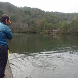 フィッシングレイクたかみや 釣果