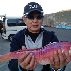 大進丸(新潟) 釣果