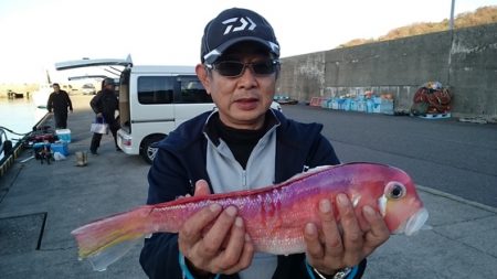 大進丸(新潟) 釣果