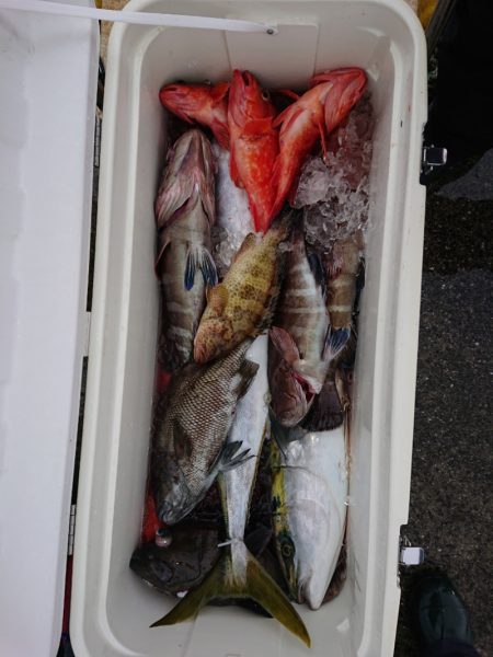 エンペラー 釣果