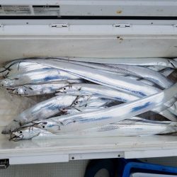 遊漁船 ニライカナイ 釣果