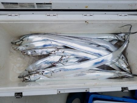 遊漁船 ニライカナイ 釣果