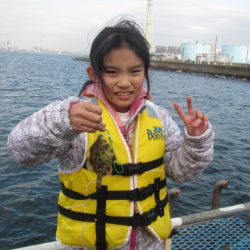 オリジナルメーカー海づり公園(市原市海づり施設) 釣果