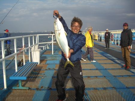 オリジナルメーカー海づり公園(市原市海づり施設) 釣果