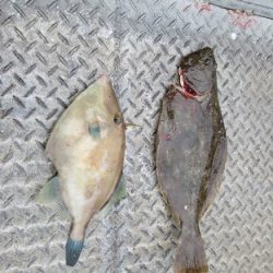 下関フィッシングパーク 釣果