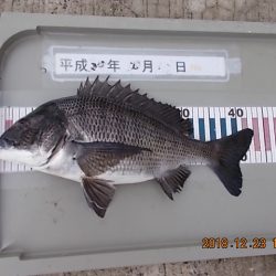 姫路市立遊魚センター 釣果