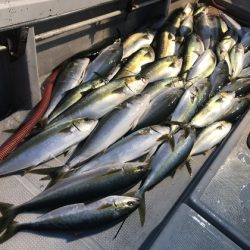 寿裕 （YOSHIHIRO） 釣果