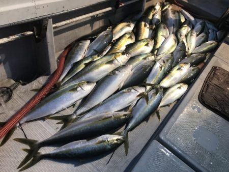 寿裕 （YOSHIHIRO） 釣果