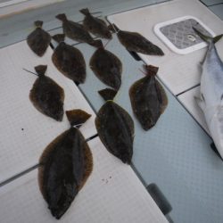 遊漁船 幸友丸 釣果