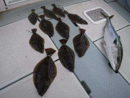 遊漁船 幸友丸 釣果