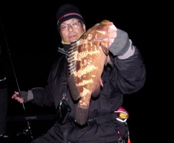 シーマジカル 釣果