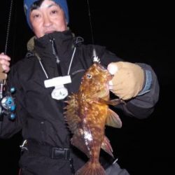 シーマジカル 釣果