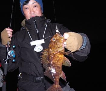 シーマジカル 釣果