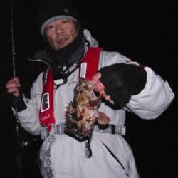 シーマジカル 釣果