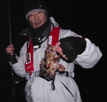 シーマジカル 釣果