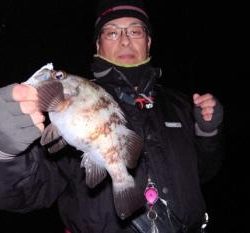 シーマジカル 釣果