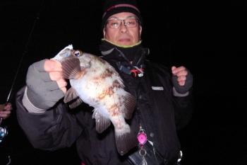 シーマジカル 釣果