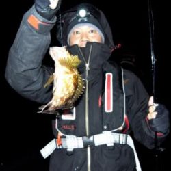 シーマジカル 釣果