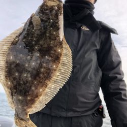 Magic(マジック) 釣果