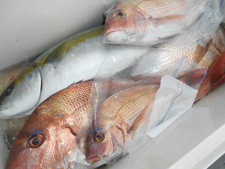 こうゆう丸 釣果