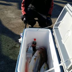 第五慶門丸 釣果