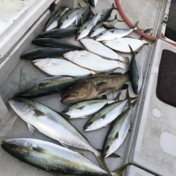 寿裕 （YOSHIHIRO） 釣果