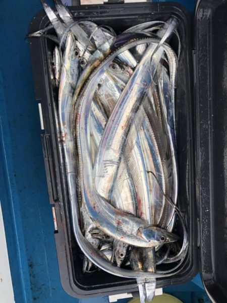 深川 吉野屋 釣果