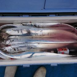 深川　吉野屋 釣果