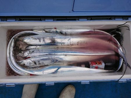 深川　吉野屋 釣果