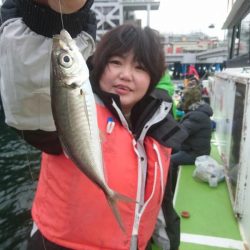 深川　吉野屋 釣果