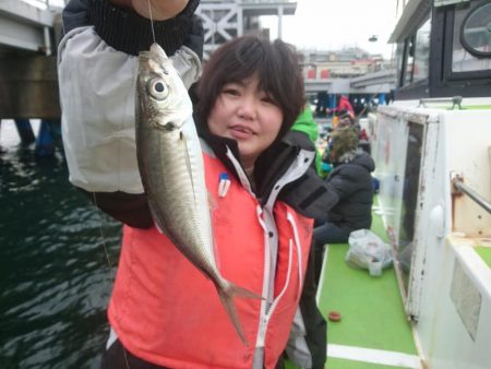 深川　吉野屋 釣果