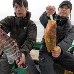 真祐丸 (しんゆうまる) 釣果