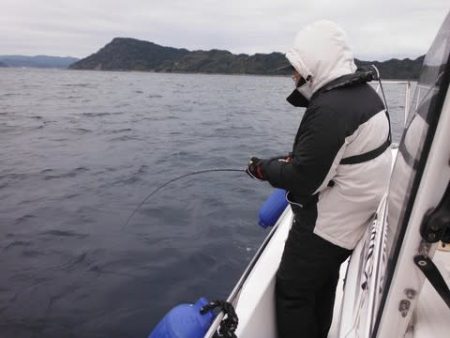 開進丸 釣果