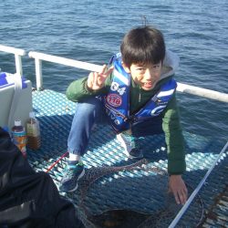 オリジナルメーカー海づり公園(市原市海づり施設) 釣果