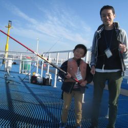 オリジナルメーカー海づり公園(市原市海づり施設) 釣果