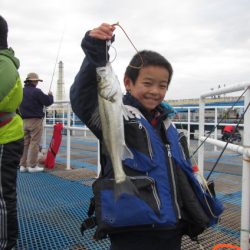 オリジナルメーカー海づり公園(市原市海づり施設) 釣果