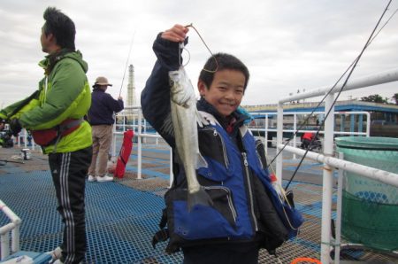 オリジナルメーカー海づり公園(市原市海づり施設) 釣果