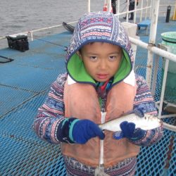 オリジナルメーカー海づり公園(市原市海づり施設) 釣果