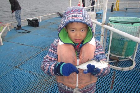 オリジナルメーカー海づり公園(市原市海づり施設) 釣果